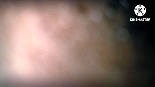 Haryana Desi Indian Video XXX