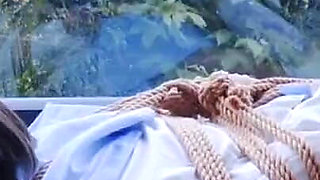 The Scenery Inside the Window Is so Wonderful