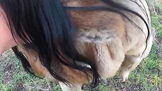 MilfyCalla 2-Hour Outdoor Risky Blowjob & Fuck Compilation – Wild Uncut Pleasure