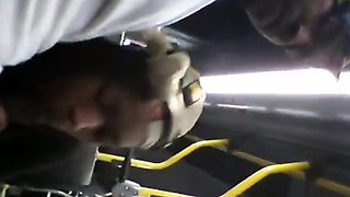 Brain's Blowjob on the Bus