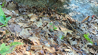 Naughty pissing at the campsite
