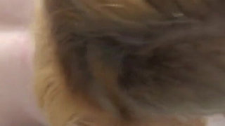 Horny Dutch Teenie Bukkake Cumswap Whore - Blowbang & Swallow