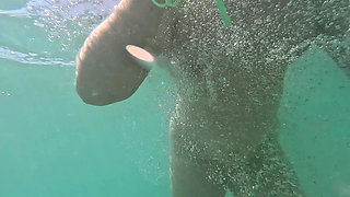Girl Swimming Naked Underwater No Panties