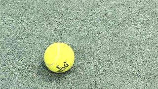 Georgia Peach - My Daughter's Fucking Blackzilla 10