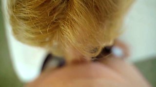 Swallows A Small Dick