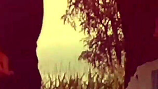 Echoes of the Wilderness