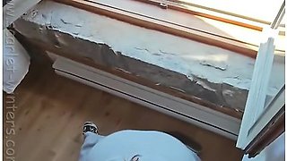 Horny Teacher Sucks The Cock Of Her Students Dad During A School Field Trip