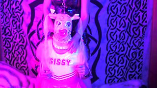 Sissy Gag Trials: Five Gags, Electro Play, Spit & Cum Swallow