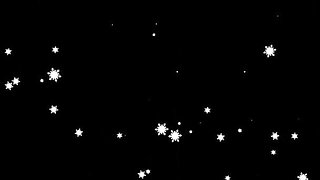 A Little Fun Before Christmas