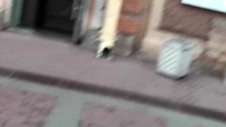 College Amateur Girls Throw Group Sex Party