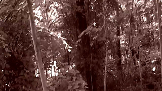 Rumble in the Jungle