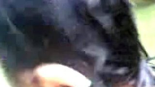 Malaysian Couple's Outdoor Camping Sex Tape