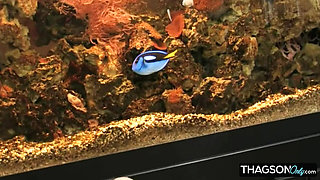 Seductive Brunette Fingers Her Tight Pussy to Orgasm