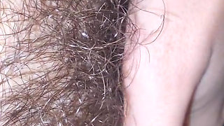 Hairy pussy closeup