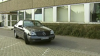 Sexy German babes enjoying cocks in asses