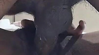 Harry Pussy Fucking Part 1