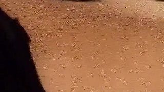 Sexy MILF Persia fucked hard in the room by black bellboys