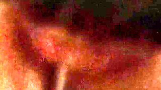 Ultra Close-up Pussy Licking - Accounter Adventures