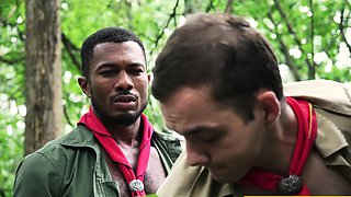 Let's do it like they do on the Discovery Channel