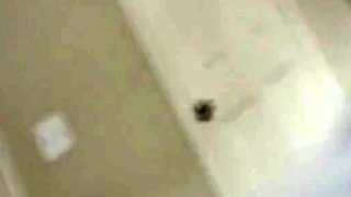 Big-Ass Amateur BBW Pawg Shakes it in Glasses