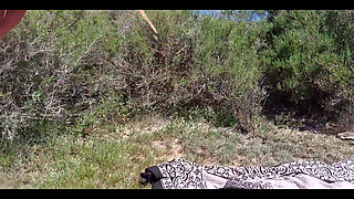 A Good Bitch Fucked on the Beach