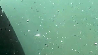 Open Water Freedive Ultra Long Fins, Wetsuit & Snorkel Gear