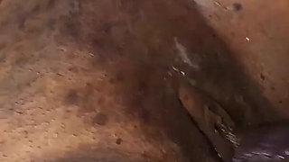 Christmass Gift Fuck for My Hubby This Xmas