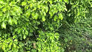 Shameless Girl Helps Stranger Pee Outdoor - Public Pissing Compilation with Emma Voyeur