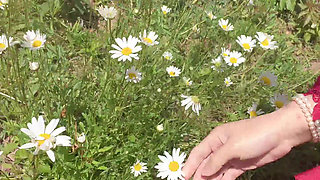 piss for gardend on the grass beautifull