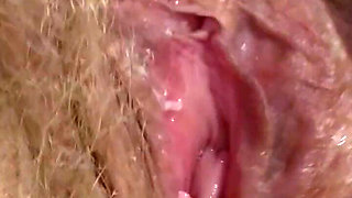 A Little Pussy Teasing