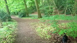 A stray busty MILF in the woods!? I’m going to claim her pussy and her mouth for myself!