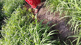 The beautiful sister-in-law of the desi village is yearning for sex with her slender waist in the field with her fingers in her beautiful pussy, showing her brother-in-law her brother-in-law.