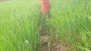 The Village's Desi Sister-in-law Is Yearning for Sex in the Outdoor Open Field.