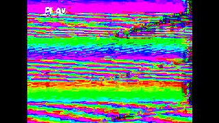 Transman Stevie Trixx Is Licked And Fucked By Lane Colten