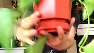 Nerdy amateur asians solo compilation