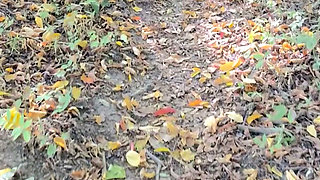 Naked girl in the forest