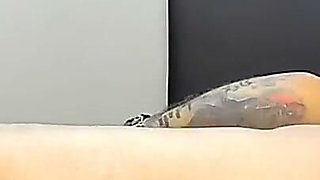 Puchis - the Best Mature Hot Fucks and Sucks