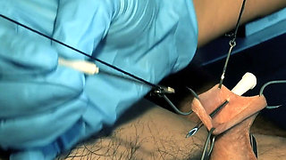 An Artful Study in Needles and Steel