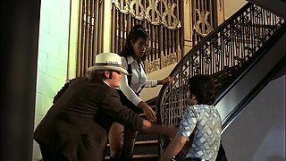 Hardcore Fucking Scenes with Blowjob Giving Brunettes