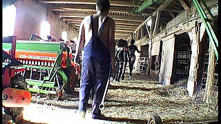 The Slave Festival