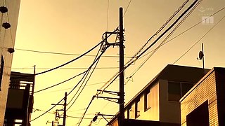 791-pjujuui-ayuy-roo-idv
