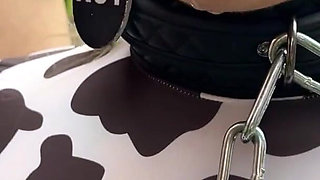 Hucow Creampie Gangbang Dogging Therapie