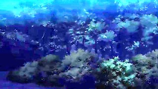Bold Longing with Voice_25042502p0