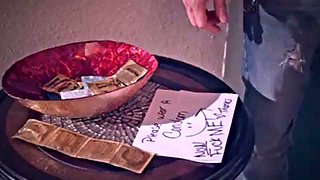 Peta Jensen slut: Blowjob, Doggy  Big Tits Porn