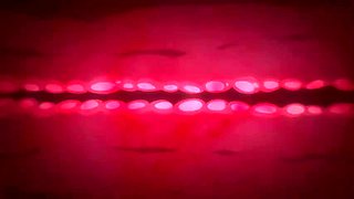 Vivid Story in the darkness_20100201p0