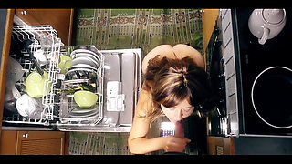 The Dishwasher (extended)