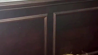 Doggnuts Creampie My Driving School Instructor - Angle 2