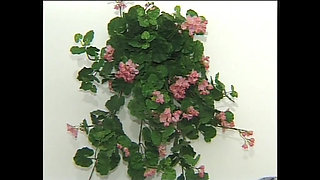 Hot Horny MILF with Small Tits Cum Inside Pussy by Young Huge Cock