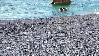 The Teacher Lost in Poker One Wish