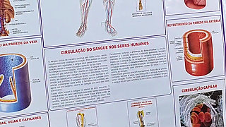 Patient Treated by an Unlicensed, Clandestine Gynecologist